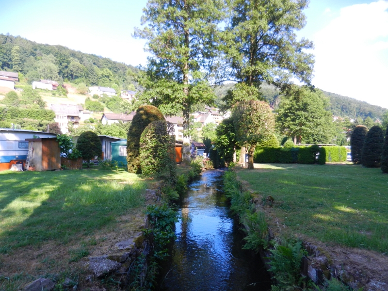 DSCN8586.JPG - Durch den Campingplatz fließt die Steinach.