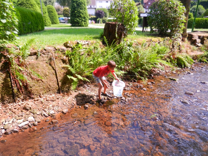 DSCN8608.JPG - Elijah fängt allerlei interessantes Getier im Bach.