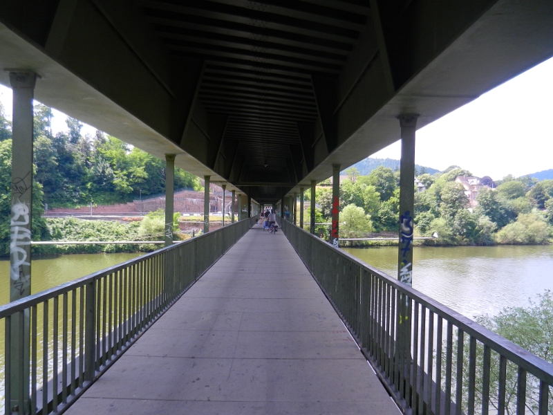 DSCN8609.JPG - Nachdem wir uns verabschiedeten sind wir nach Neckargemünd um mit dem Hundi nochmal Gassi zu gehen. Wir laufen zunächst über die Eisenbahnbrücke zum anderen Ufer.