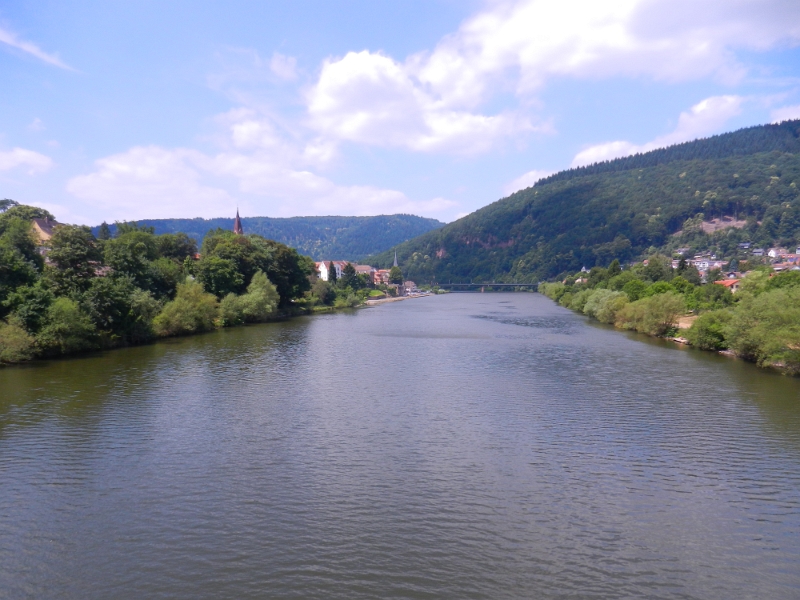 DSCN8612.JPG - Über die Brücke im Hintergrund wollen wir wieder zurück laufen.