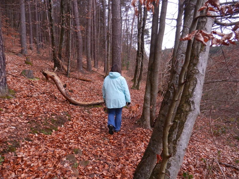 DSCN4932.JPG - Kurze Zeit später sind wir spontan zu einer Wanderung aufgebrochen. Natürlich habe ich im Vorfeld einige Wanderkarten und Wandervorschläge studiert und somit haben wir einen Rundwanderweg von ca. 15Km vor uns. Heute sollte es laut Wettervorhersage regnen wovon wir hier nichts bemerken. Also gehts los...