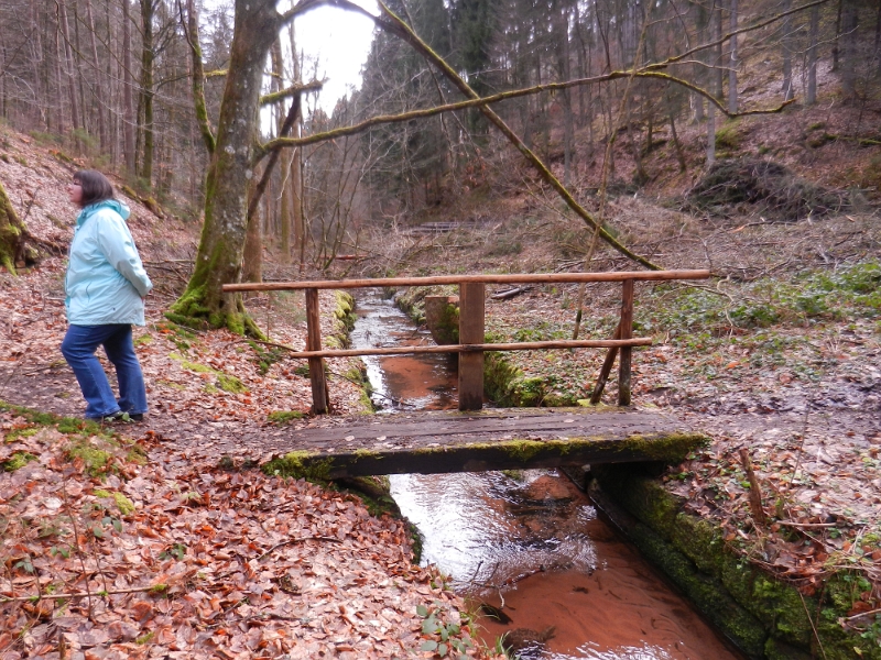 DSCN4936.JPG - Dann ein sehr großes Stück stetig bergab bis wir an den Breitenbach kommen.