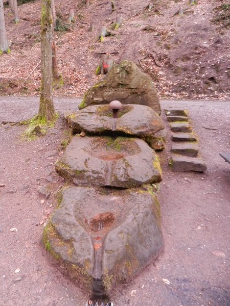 DSCN4943.JPG - Der Wolfsbrunnen.