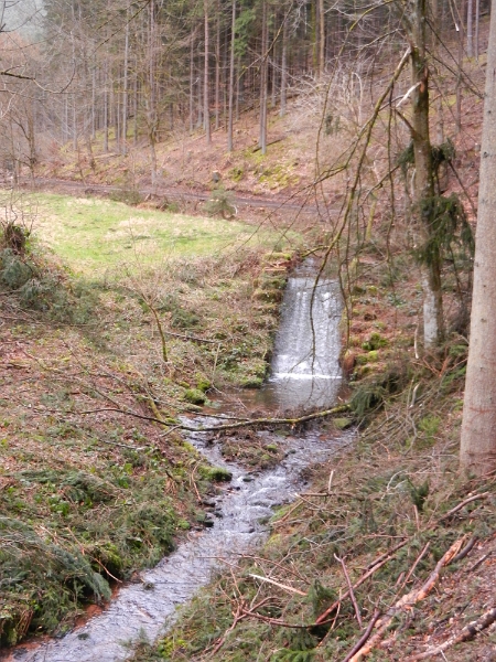 DSCN4945.JPG - Wir laufen weiter am Breitenbach entlang.