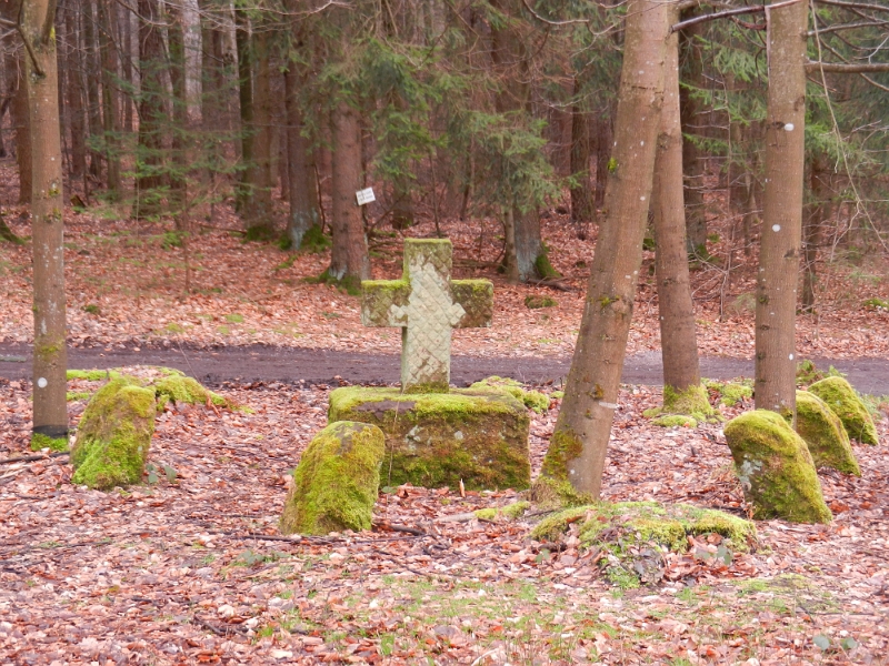 DSCN4962.JPG - Wir laufen nun zum Steinernen Kreuz unweit der Schwarzsohlhütte.