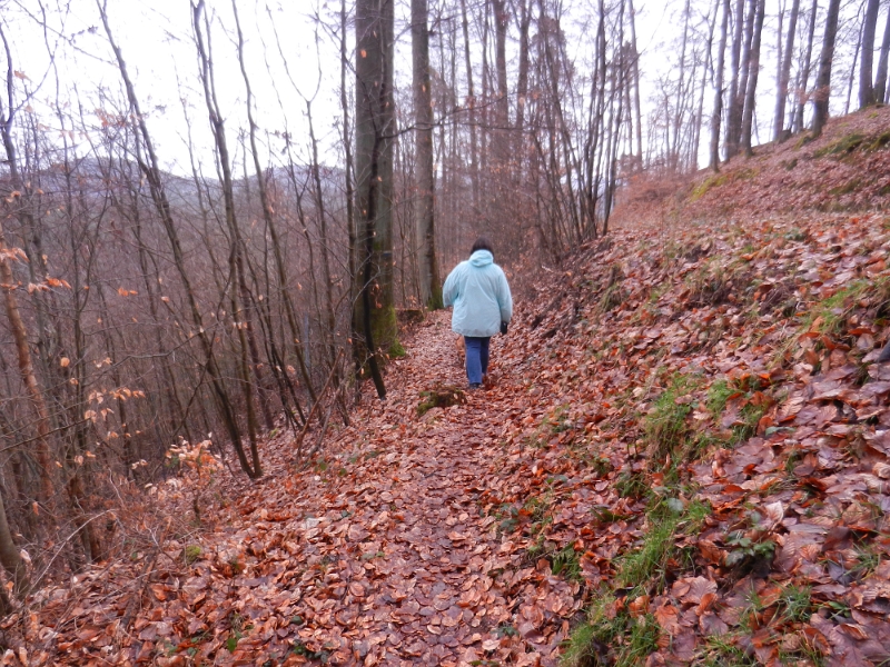 DSCN4964.JPG - Größtenteils gehts nun bergab.