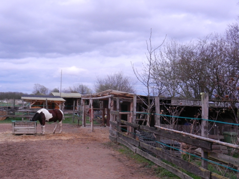 DSCN5978.JPG - Der Stellplatz in Bad Dürkheim war relativ voll und wegen des Regens auch matschig und schlammig! Wir sind darauf hin ein paar Kilometer nach Niederkirchen bei Deidesheim gefahren, dort gibt es einen Stellplatz am Sportplatz. Dort angekommen wollen wir eine kleine Erkundungsrunde um den Ort drehen. Hierbei haben wir diese "Ranch" entdeckt.