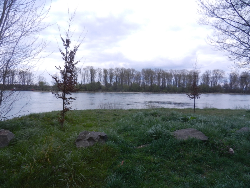 DSCN6028.JPG - ...mit Blick auf den Rhein.