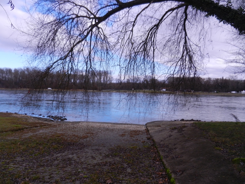 DSCN4683.JPG - Zum Schluss schauen wir noch auf den Rhein.