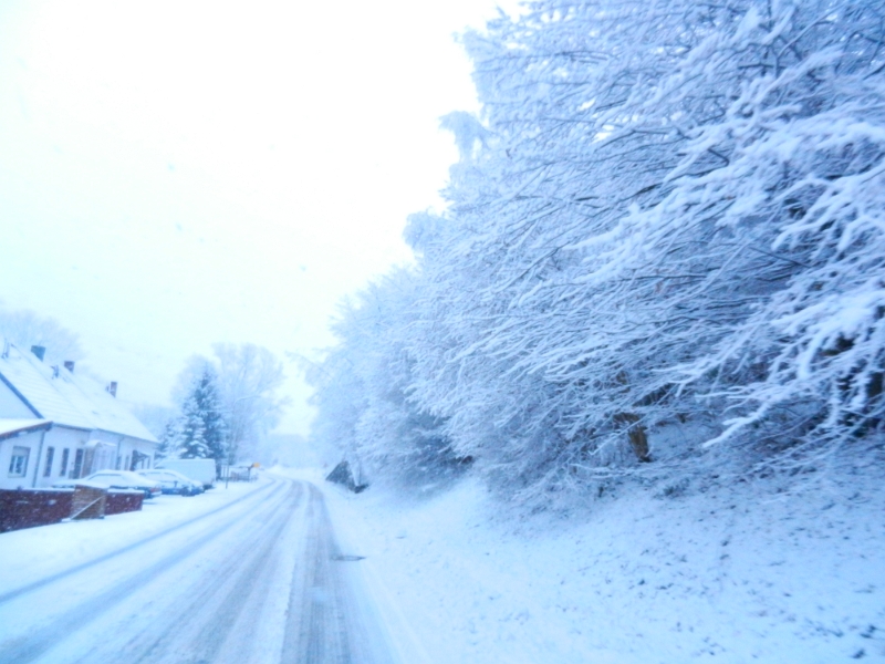 DSCN2212.JPG - Im Radio hören wir das bei Landstuhl und bei Grünstadt die Autobahnen voll gesperrt sind wegen quer stehend LKW usw...Wir ändern also unseren Plan und hoffen einfach nur dass das Wetter morgen besser wird und suchen uns einen Stellplatz in der Nähe.