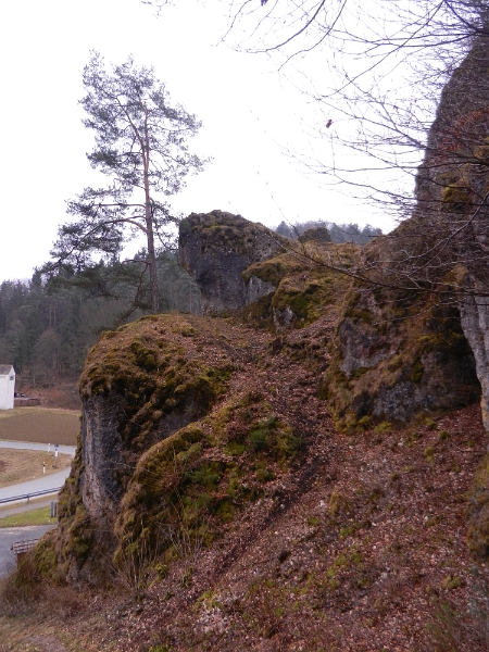 DSCN5404.JPG - Wir wandern einfach mal los, den Berg hoch.