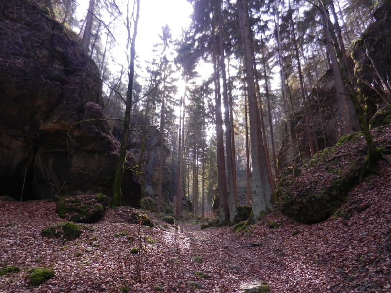 DSCN5511.JPG - Wir wandern weiter...