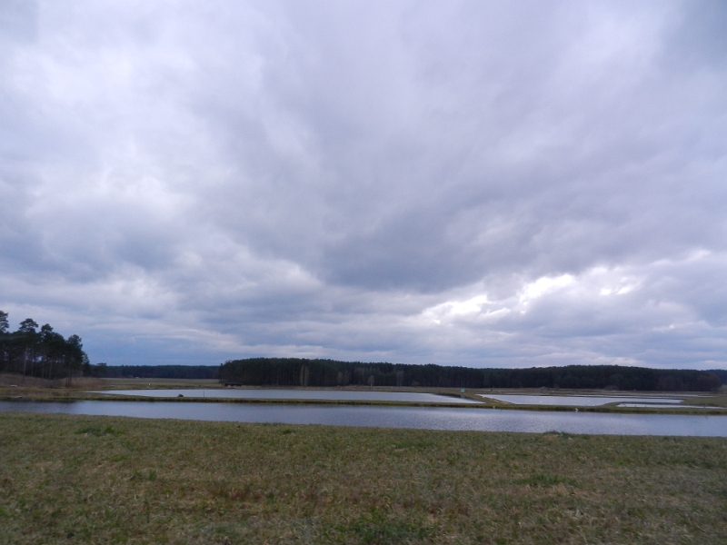 DSCN5601.JPG - Wir kommen durch das Weihergebiet Mohrhof und staunen über die unzähligen Fischweiher!!!