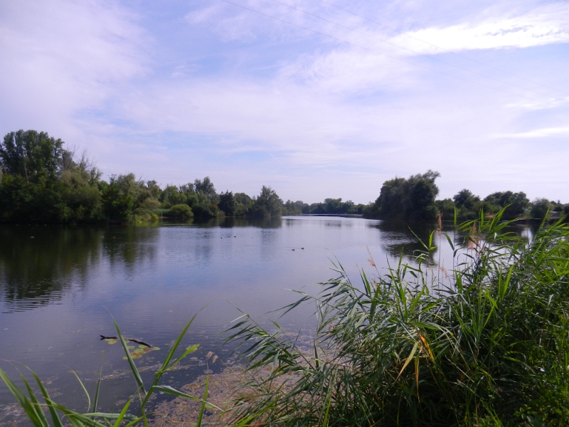 DSCN8675.JPG - Nochmals der See (Fischmal).