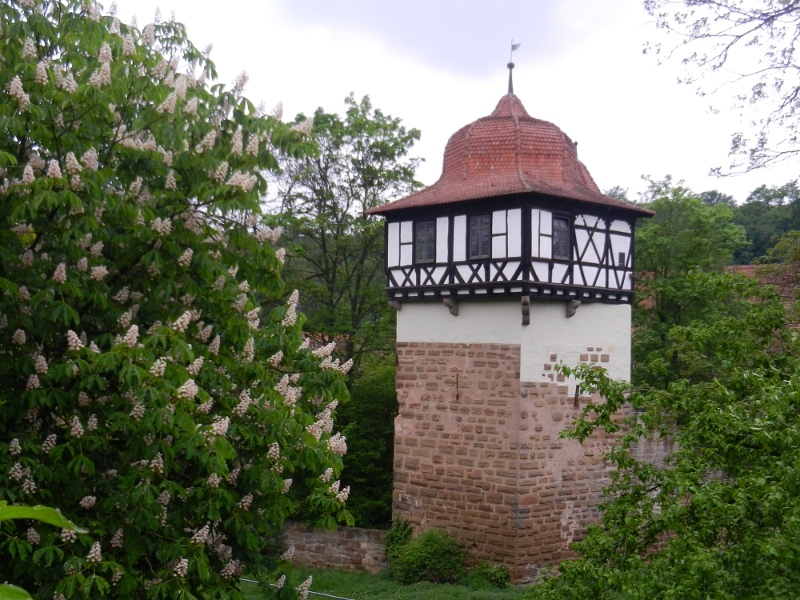 DSCN6856.JPG - Wieder am Kloster angekommen.