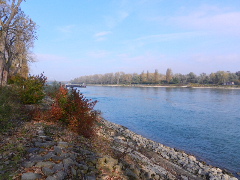 DSCN1333.JPG - Als wir uns dem Rhein nähern wird das Wetter schlagartig besser und die Sonne kommt raus.