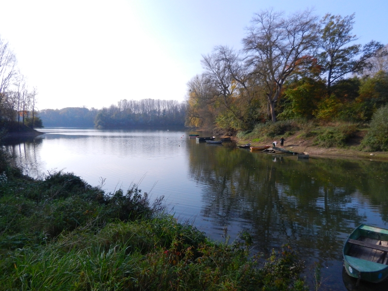 DSCN1343.JPG - Wir spazieren am Rhein entlang...