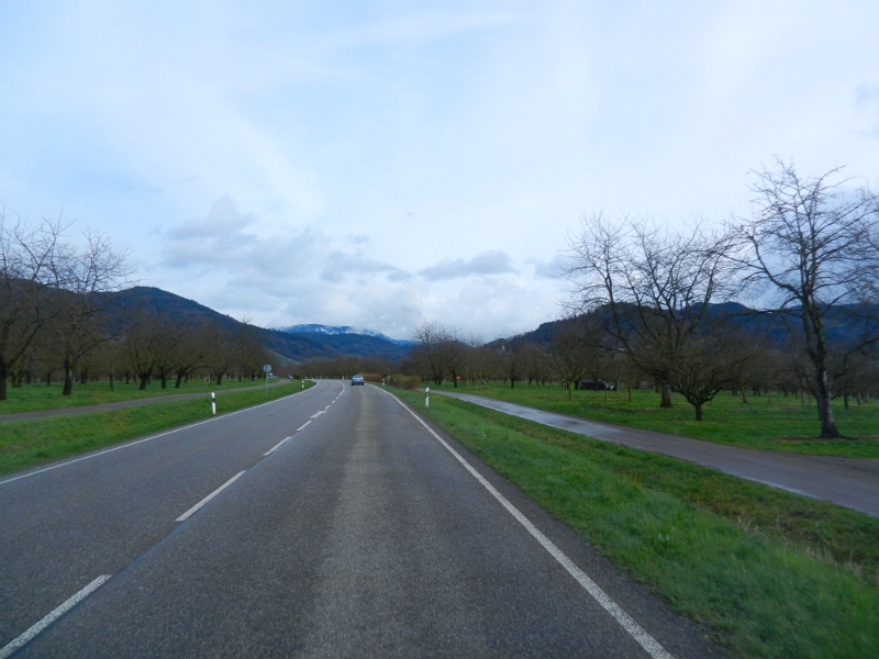 DSCN3356.JPG - Wir sind nun irgendwo bei Achern von der Autobahn und fahren nach Kappelrodeck, damit sind wir im Ortenaukreis!