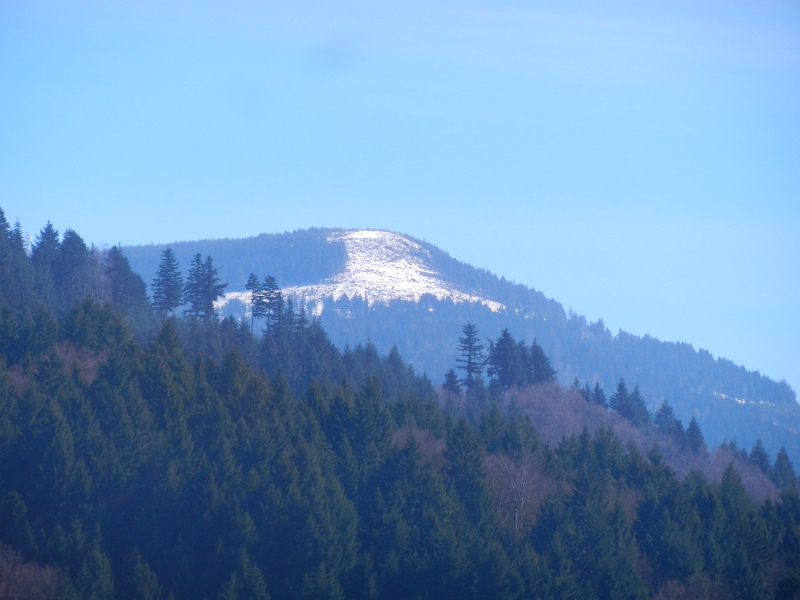 DSCN3405.JPG - Nur unweit von hier erkennen wir den Schnee in den Bergen.