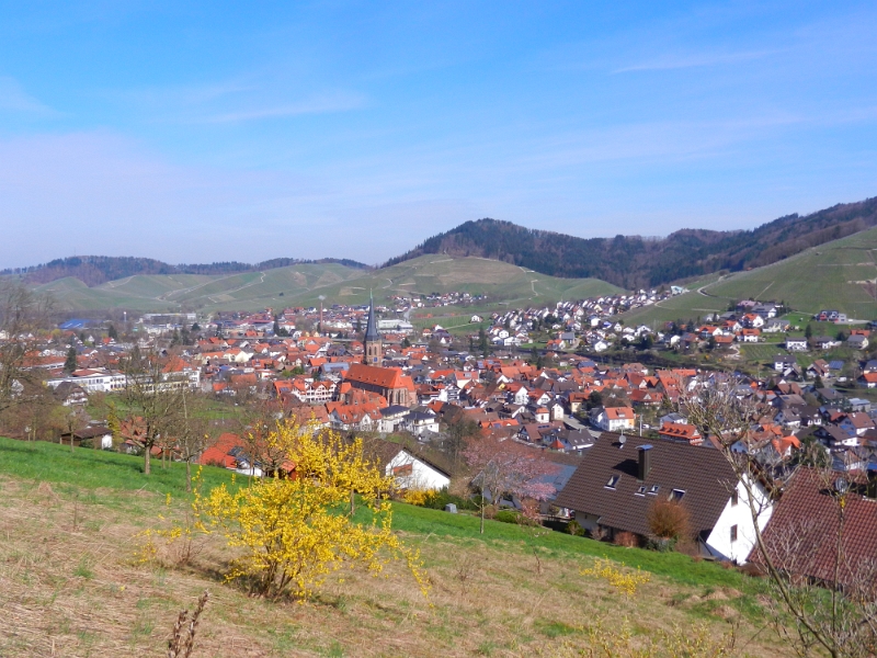 DSCN3408.JPG - Kappelrodeck von oben.