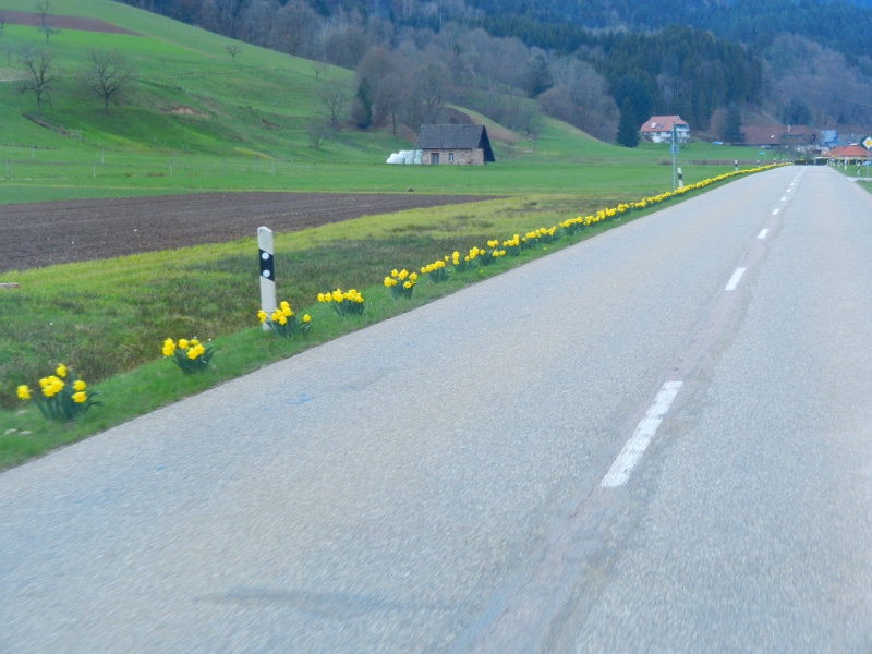 DSCN3926.JPG - Schwupps, sind wir wieder unterwegs! Wir haben uns einen Stellplatz in Zell am Harmersbach angesehen und die dortige V/E-Anlage benutzt. Nun sind wir auf dem Weg nach Nordrach um den dortigen Stellplatz anzusehen.