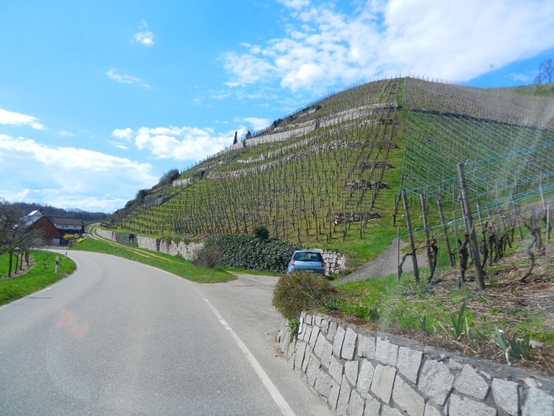 DSCN3947.JPG - Wir fahren auf einen weiteren Stellplatz in Durbach, genauer im Ortsteil  Ebersweier.