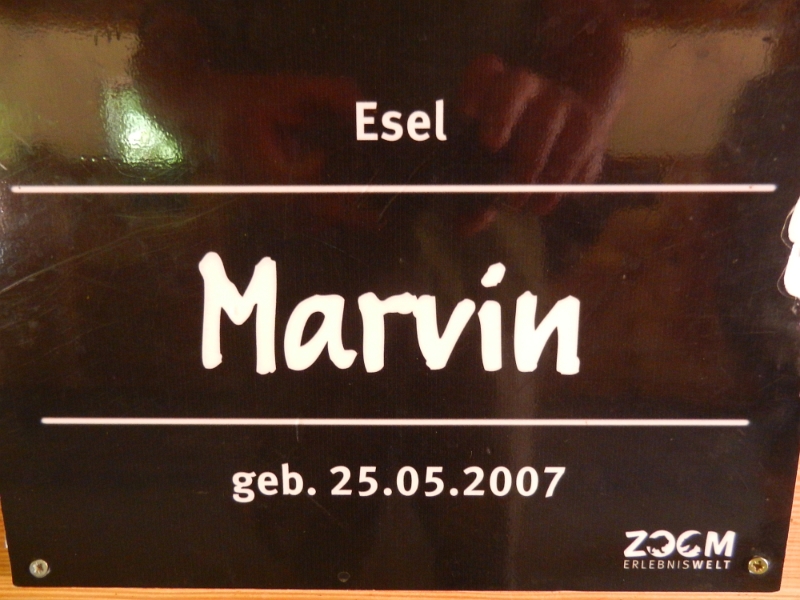 DSCN4799.JPG - Marvin war leider nicht da!