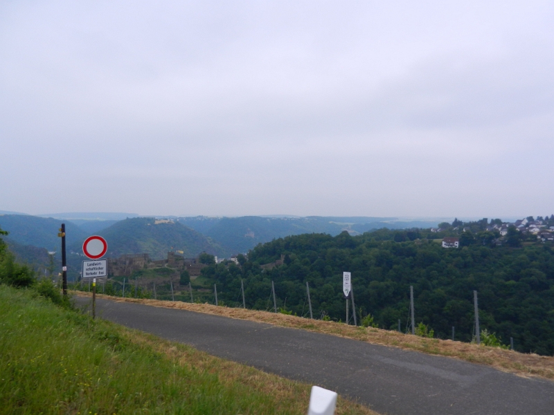 DSCN4847.JPG - Bei St. Goar fahren wir einen steilen Berg auf einer klitzekleinen Straße den Berg hoch nach Werlau.