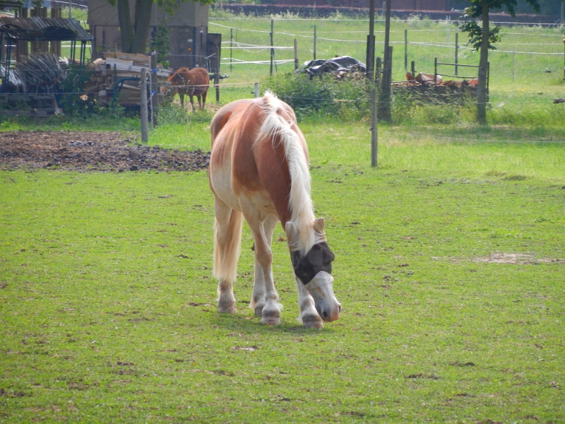 DSCN4858.JPG - Unsere Nachbarn!