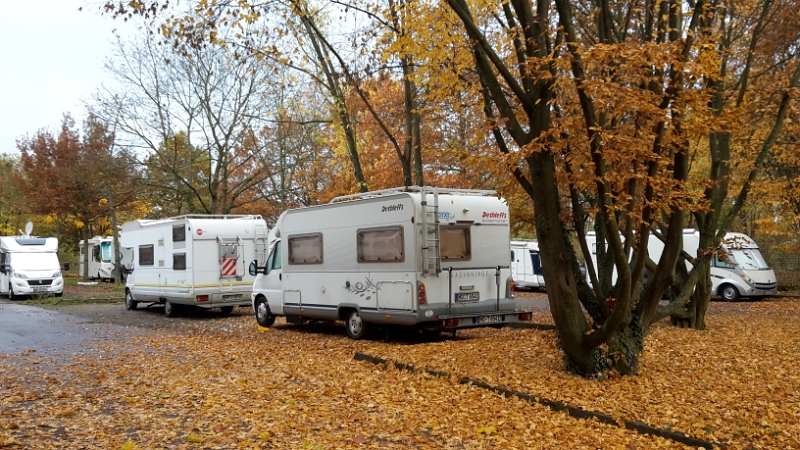 20151107_095543.jpg - Der Stellplatz ist sehr gut besucht!?!?Ich mach mich auf den Weg zum Bäcker...