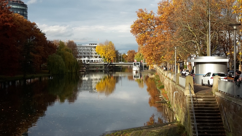 20151107_150824.jpg - ...die Sonne kommt immer mal wieder raus.