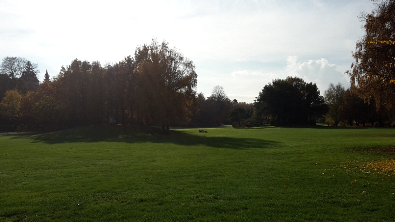 20151108_104141.jpg - Am nächsten Morgen machen wir einen kleinen Spaziergang durch den Park, der direkt an den Stellplatz grenzt.