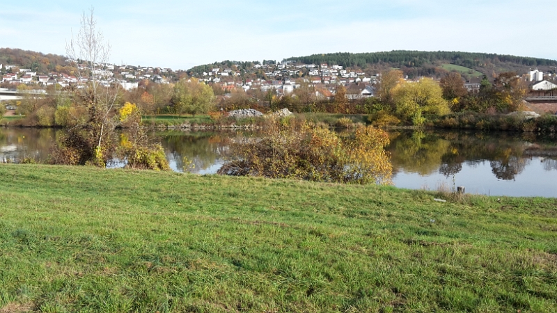 20151108_140534.jpg - Letzte Pause machen wir in Obrigheim am Neckar. Der Stellplatz ist eigentlich nicht der Rede wert, wir wollen lediglich Mittagessen und dann nach Hause fahren.