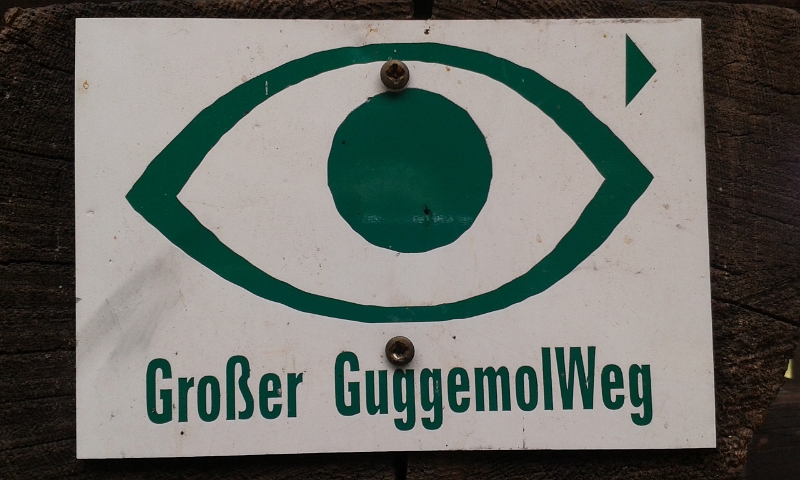 20151017_143344.jpg - Wir entdecken den "Großen Guggemolweg" :-)