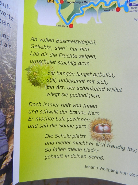 DSCN4298.JPG - Aha, hier gibts auch "Käschde"!