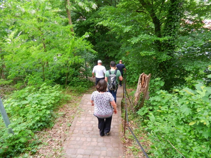 DSCN4299.JPG - Nun gehts steil die Treppen von der Burg wieder runter ins Tal.