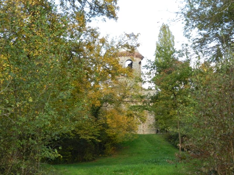 DSCN6269.JPG - Durch den Zaun kann ich aber in den Park schauen!