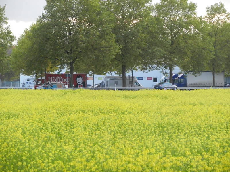 DSCN6270.JPG - Der Stellplatz ist total ungemütlich an einer viel befahren Strasse. Einziger Vorteil, die VE-Anlage die wir regelmäßig nach unseren Touren nutzen.