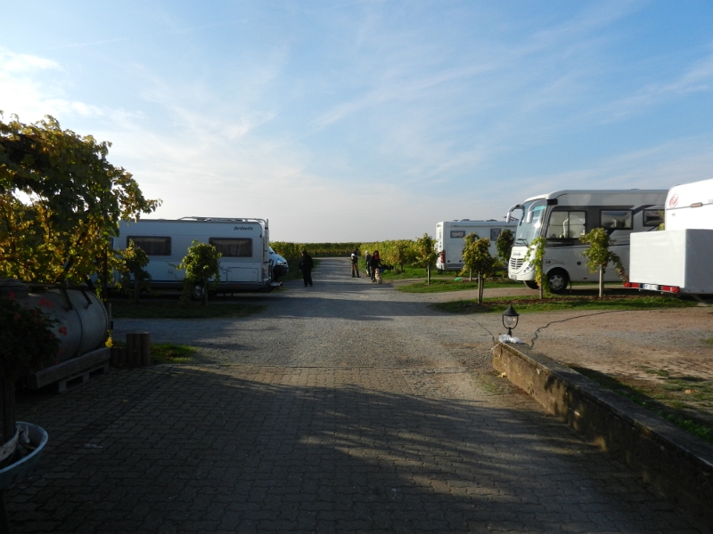 DSCN6299.JPG - Platz für 6 Reisemobile! Achja, wir sind auf dem Stellplatz vom Weingut Meyer am Ortsrand von Rhodt u. Rietburg.