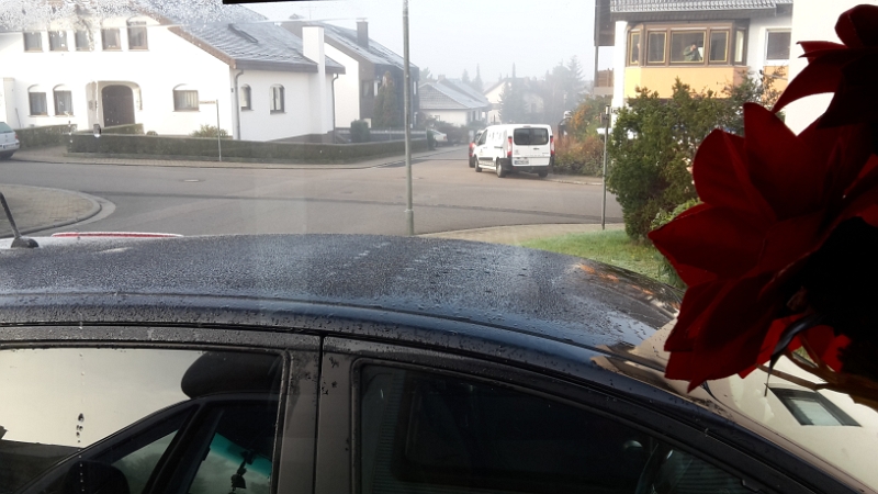 20151127_092956.jpg - Das Wetter sieht eigentlich auch sehr gut aus. Mal abgesehen von der Kälte!!!