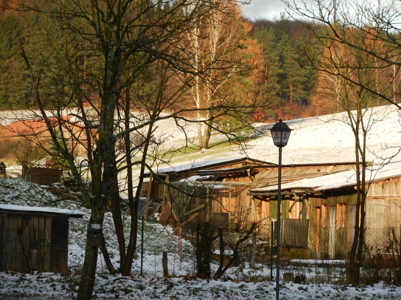 DSCN6578.JPG - Ab und an kommt die Sonne raus!