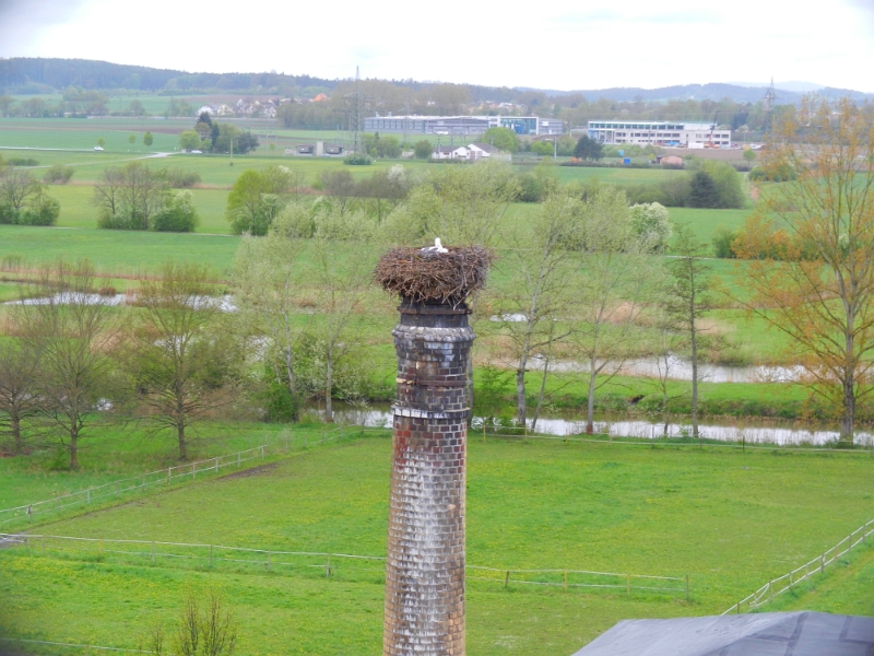 DSCN4027.JPG - ...ich erklimme den Turm und entdecke auf "Augenhöhe" einen Storch!