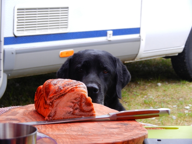 DSCN4054.JPG - "Soll ich mir ein Stück vom Kuchen schnappen...?!?"