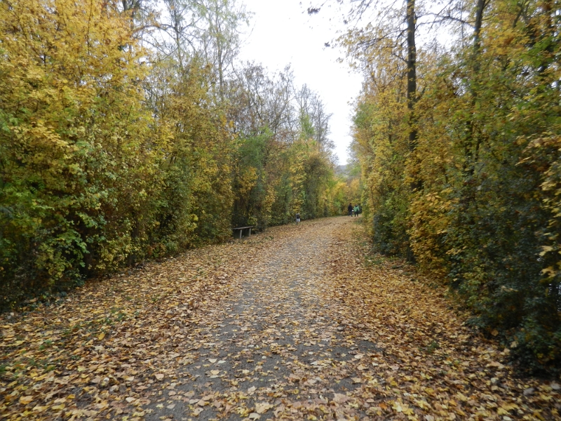 DSCN6359.JPG - Lauter Wetter-App soll es hier und heute nicht regnen... Cool, dann machen wir eine Wanderung!