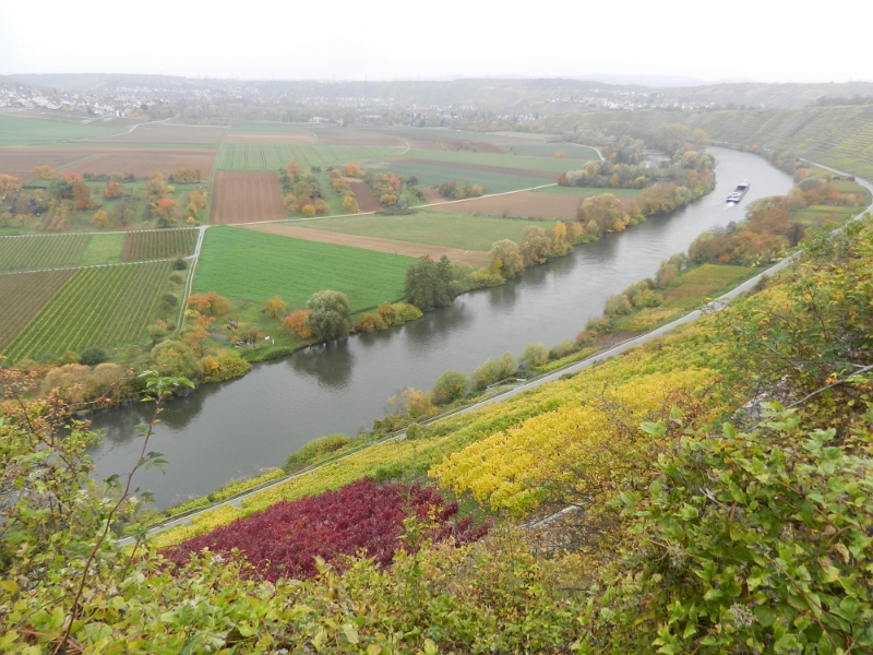 DSCN6369.JPG - Von hier oben haben wir einen schönen Blick auf den Neckar.