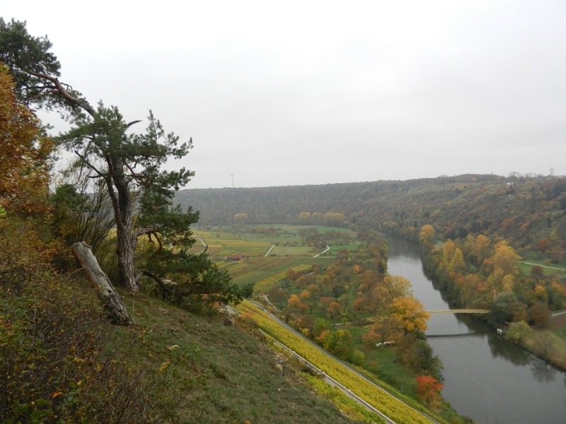 DSCN6398.JPG - Unten am Neckar sehen wir die Brücke über die wir den Heimweg antreten.