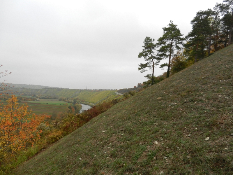 DSCN6402.JPG - Jetzt geht es sehr steil den Berg hinab!