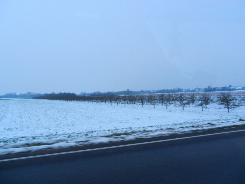 DSCN2297.JPG - Wir fahren nicht allzuweit weg, weil wir beide wieder am 2. arbeiten müssen.Darum haben wir uns für den Stellplatz in Ladenburg entschieden.