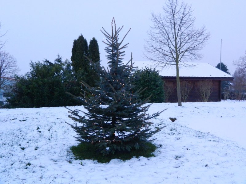 DSCN2302.JPG - Einen Weihnachtsbaum gibts auch auf dem Platz.