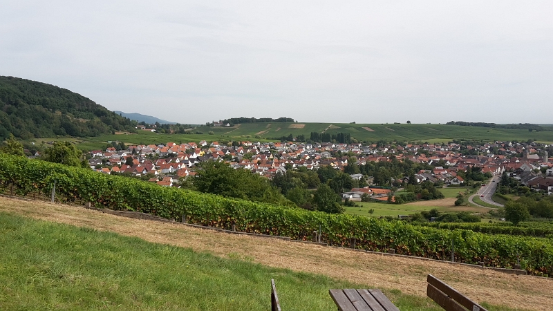 20160903_111058.jpg - Ein schöner Blick über Klingenmünster.